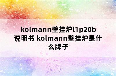 kolmann壁挂炉l1p20b说明书 kolmann壁挂炉是什么牌子